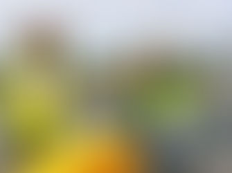 Little Forest Road opening