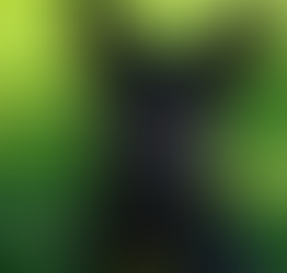 A letter of thanks to the Animal Welfare League AWL