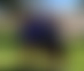 Broulee Runners November 9th 2022