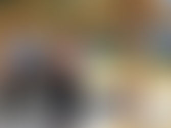 Minister for Housing Michael Sukkar rejects brother's request for bushfire rebuild help