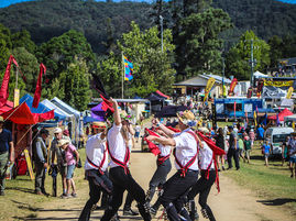 I Go, You Go, We All Go to Cobargo