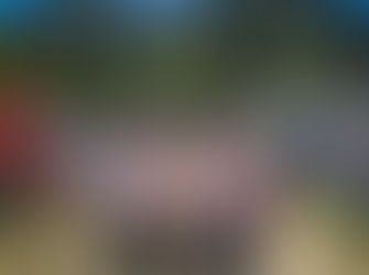 I Go, You Go, We All Go to Cobargo