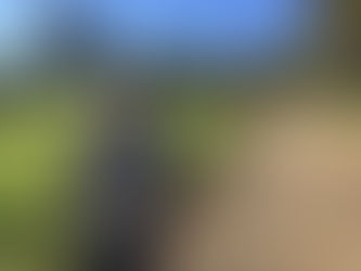 Who are these Liberals that have just appeared and claim they represent us