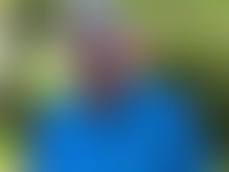 Tuross Head Country Club veteran's golf Wednesday May 17