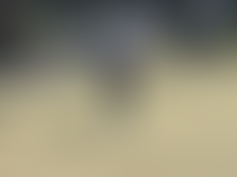 Tuross Head Men’s Bowls results