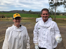 New role to improve access to public land for beekeepers