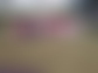 Club Malua Women’s Bowls Report