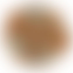 Moruya Blues and Roots Festival