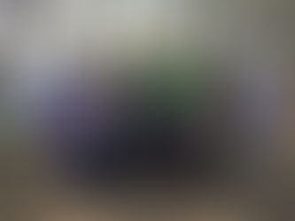 Celebrations put spring in Landcarers’ step