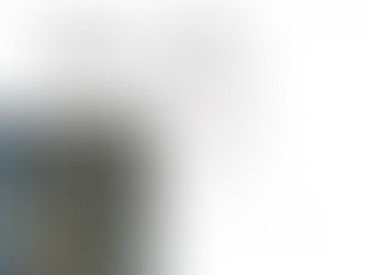 Mogo: what is being said, and not said