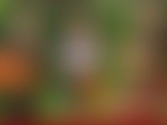 Big Possum Stringband @ The Quarterdeck Narooma on Aug 10th