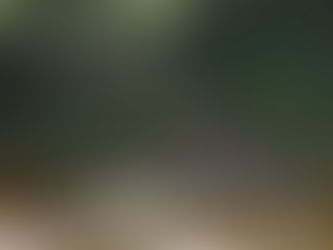 Moruya Agricultural Show Photo Competition Results