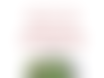 Veggies For All Autumn Catchup