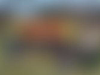 Recovery Continues With Post Fire Weeds Control Underway At Moruya