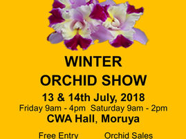 Eurobodalla Orchid Club, Annual Winter Show