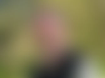 Eurobodalla councillors vote to become mediocre