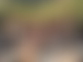 Djinama Yilaga and Songs From Yuin Country ... onward and upward...off to Canberra