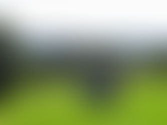 Tuross Head golfers look forward to year 2022 competitions