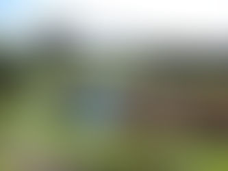 Tuross Head Country Club men’s golf competition results October 9 2021