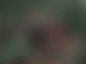 Mine shaft training brings Moruya Rescue crews together