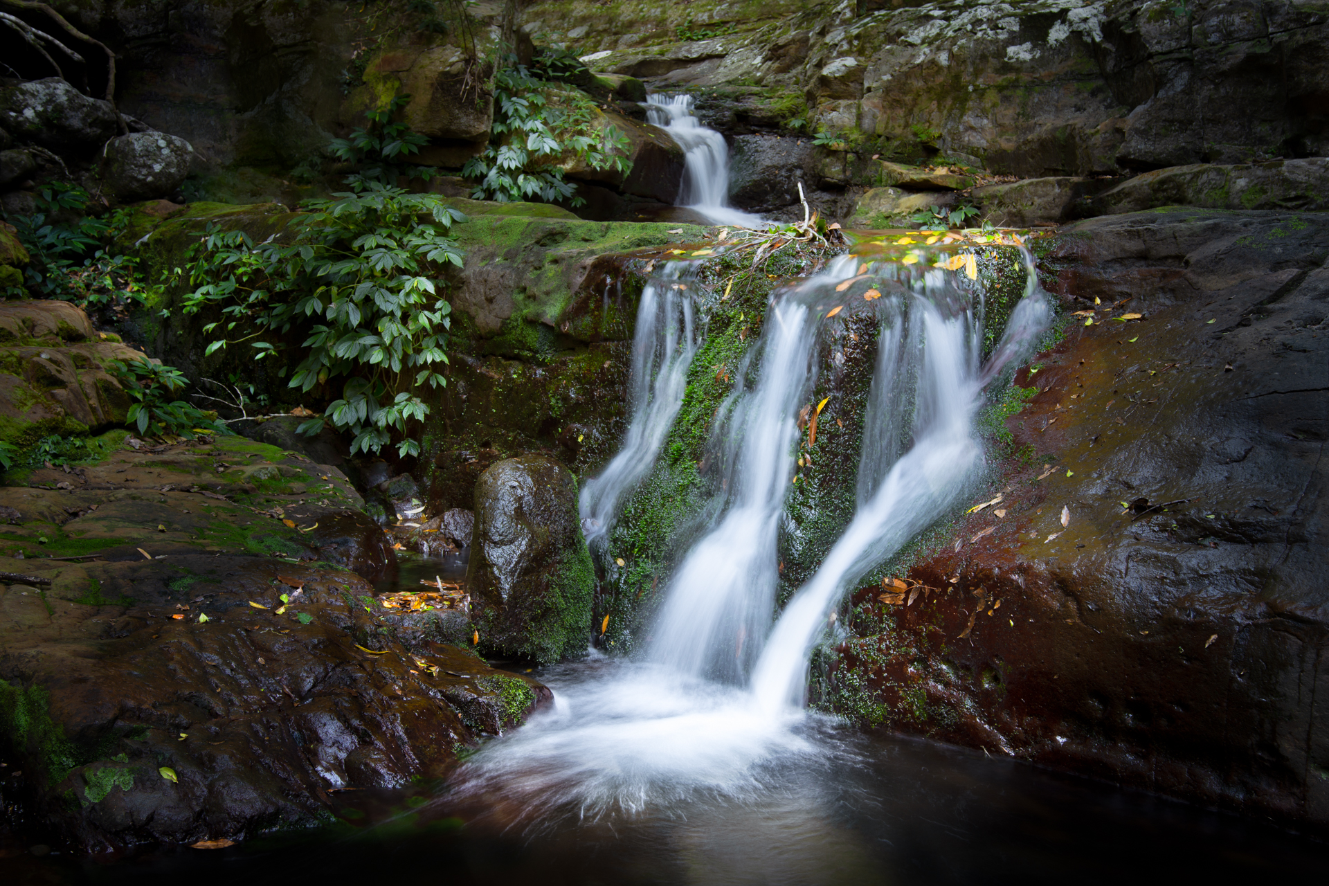Minamurra River-Dave Kemp