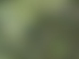 Council advises Deep Creek dam level is ‘manageable’ with 89%