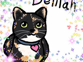 Justice for Delilah: WARNING: Cat killer in Tomakin