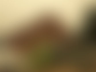 Bega Evacuation Centres ready with donations, assistance, information