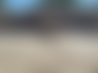 Information From Council About Dune Weed Control On Tomakin Beaches