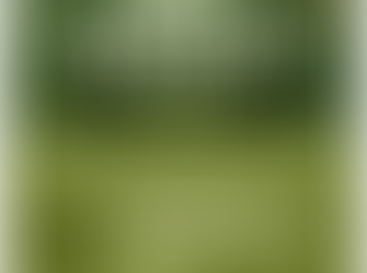 Narooma Charity Golf Day Wed 17th May