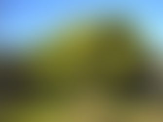 Memorial avenue for Dalmeny Kianga