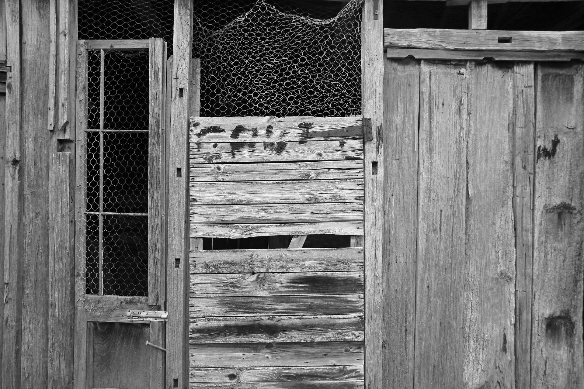 Timber Texture