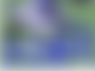 Tuross Head Fishing Club 2023 Flathead & Bream Tournament