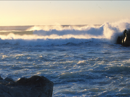 Dangerous Surf Conditions Continue For Majority Of Nsw Coastline