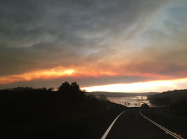 Diary of an evacuated Eurobodallan.....