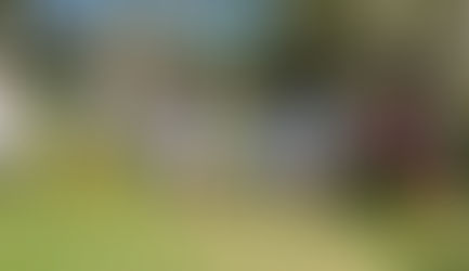 Broulee Runners Wednesday 15th February 2023