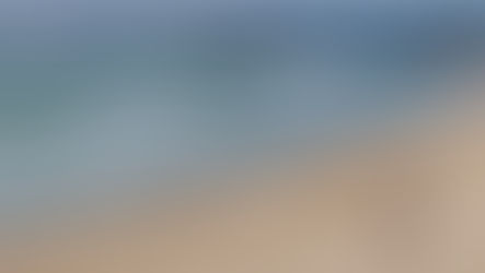 Dalmeny Boardriders Come and Try day Nov 6th