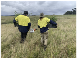 EcoCrews reach halfway point in Eurobodalla and  Bega Valley 