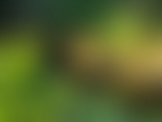 Mayor responds to Mogo criticism and receives a further dressing down