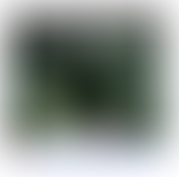 Beagle Weekender of March 3rd 2023 OUT NOW