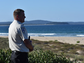 Ranger patrols increase on local beaches