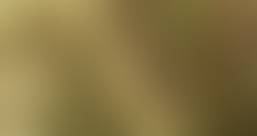 Nature Writing Workshop @ Shallow Crossing