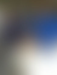 Tomakin Twist Tops Bowls Report.