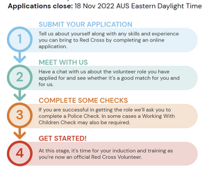 Help brighten the life of an older person - Become A Volunteer Visitor