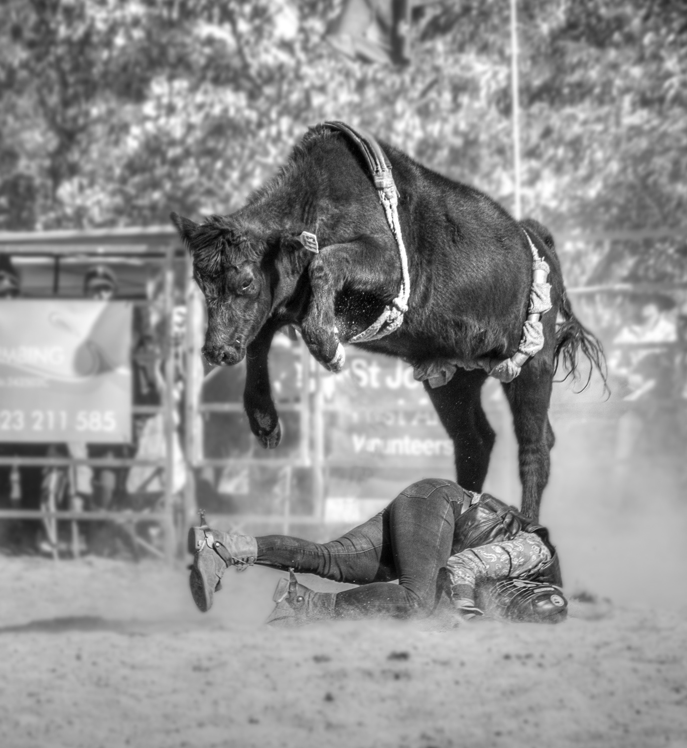 Taking a Fall by Beth Westra