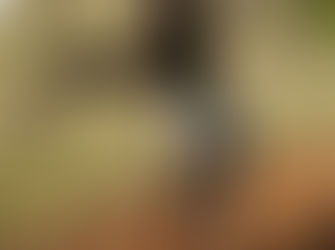 Water Dancer takes out Peoples Choice