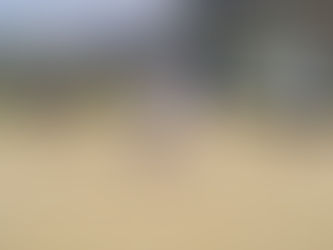 Narooma Men’s Bowls report