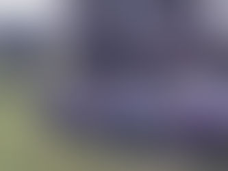 Tuross Community Garden news