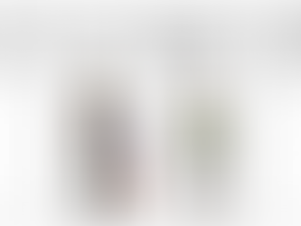 The more we learn, the less we know about the Mackay Park project