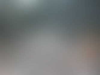 EPA asked to intercede in Corunna logging